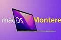 Image result for Mac OS Monterey