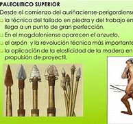 Image result for auri�aciense