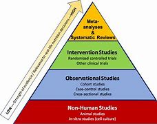 Image result for Prospective Study Research