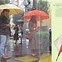 Image result for Unusual Umbrella