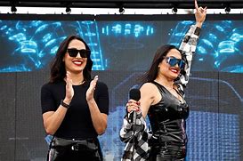 Image result for Nikki Bella NASCAR