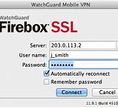 Image result for Mobile VPN with SSL Client