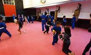 Image result for Sambo Martial Art