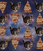 Image result for Galaxy Cat Meme