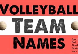 Image result for Volleyball Team Names