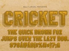 Image result for Cricket Script Font