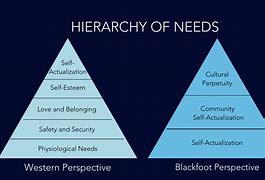 Image result for Indigenous Hierarchy of Needs