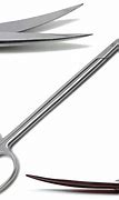 Image result for Dental Surgical Scissors