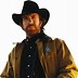 Image result for Chuck Norris Current