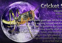 Image result for Cricket Animal