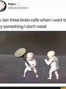 Image result for Cells in My Brain Meme Video