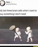 Image result for 2 Brain Cells Meme