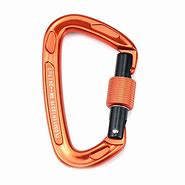 Image result for Heavy Duty Carabiner