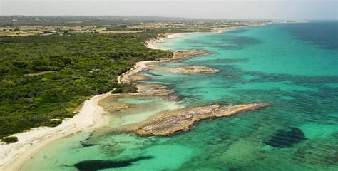 Image result for Find Time Complexity Borukvas Algorithm