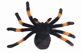 Image result for Staft Toy Spider