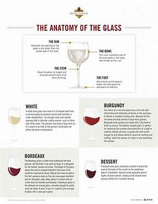 Your Premier Guide To Types Of Wine Glasses Types Of