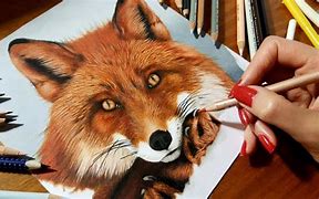 Image result for Fox Drawing Hard