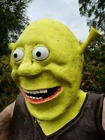 Image result for Shrek Ops Meme