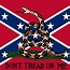 Image result for Don't Tread On Me Flag