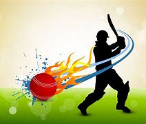 Image result for Intriguing Image of Cricket