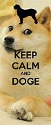 Image result for Dodge Dog Meme Wallpaper