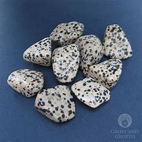 Image result for White Garden Rocks Black Spots