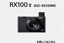 Image result for Sony RX100 V Skins