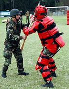 Image result for Military Fighting Style