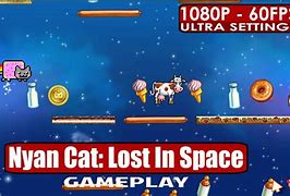 Image result for Cat Lost in Space
