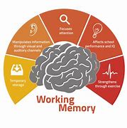 Image result for Short-Term Memory Brain