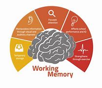 Image result for Memory 19 History