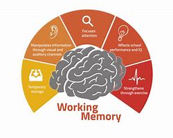 Image result for Understanding How Memory Works
