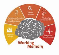 Image result for Cartoon of History of Memory