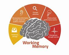Image result for Cartoon of History of Memory