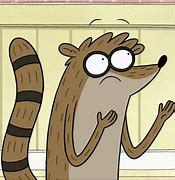 Image result for Rigby Character