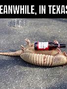 Image result for Meanwhile in Texas Meme