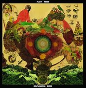 Image result for Fleet Foxes Album Cover