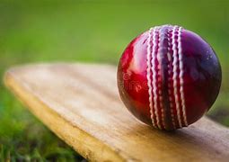 Image result for Cricket Bat Ball