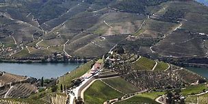 Image result for Quinta do Crasto Douro