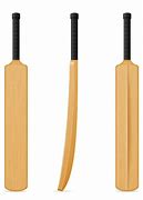 Image result for A Cricket Bat Illurations