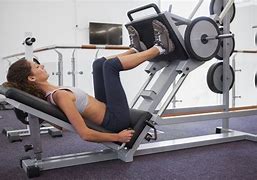 Image result for Free Weight Exercise Equipment