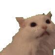 Image result for Wuffles Cat