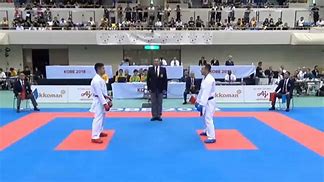 Image result for 10 Types of Karate