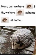 Image result for We Have a at Home Meme