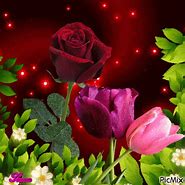 Image result for Animated Rose Black Background