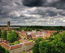 Image result for Wicket Warwick