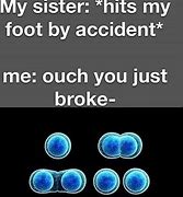 Image result for New iPhone Meme Mitosis