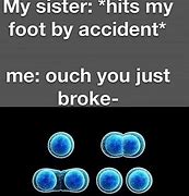Image result for Humans Undergoing Mitosis Meme