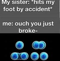 Image result for The First Cell That Underwent Mitosis Meme