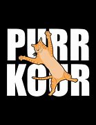 Image result for Parkour Cat Meme